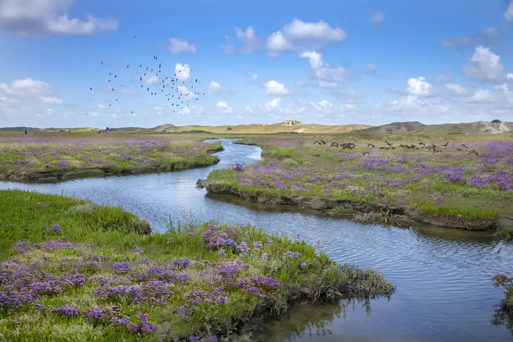 Unesco Global Geopark Schelde Delta.jpg