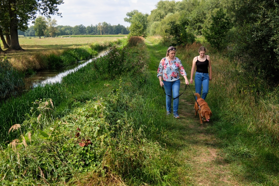 Grenspark KempenBroek Unesco Biosfeergebied.jpg