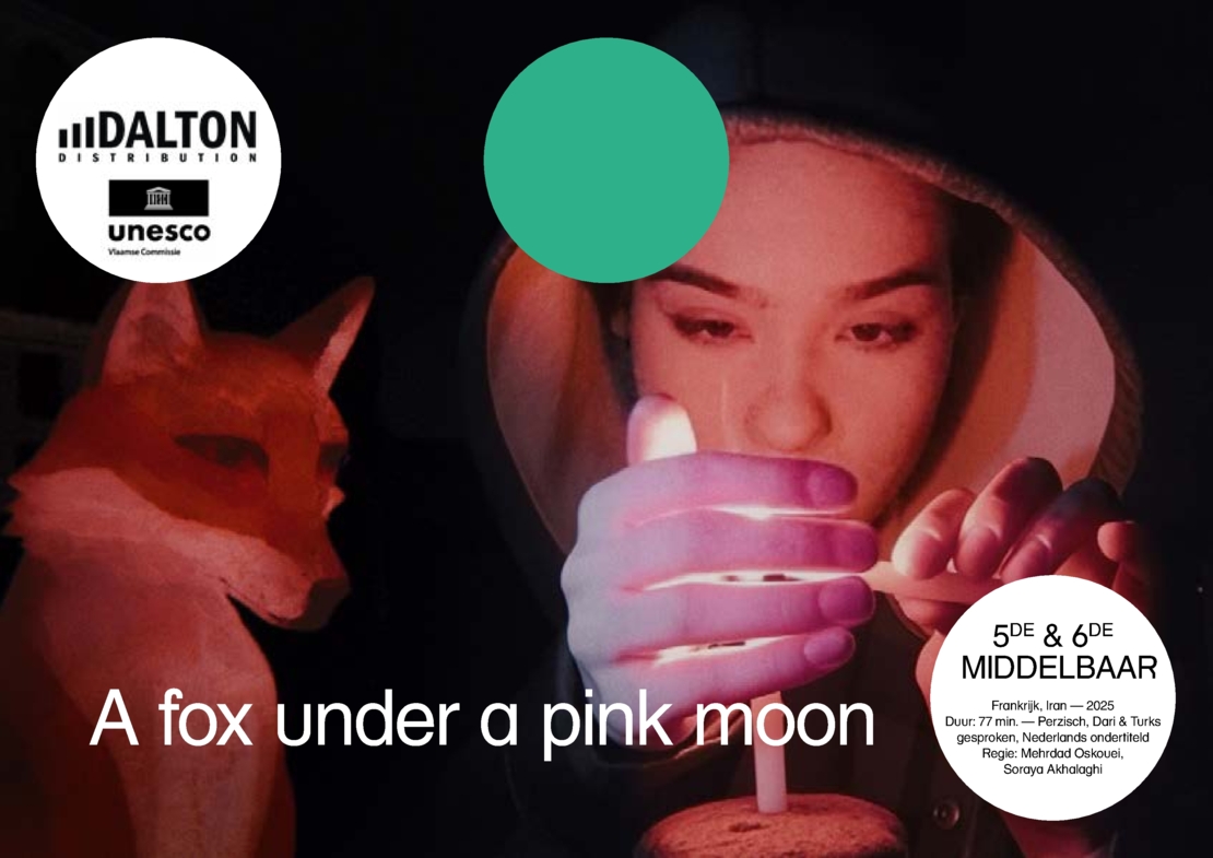 Lesmap A fox under a pink moon (1).pdf