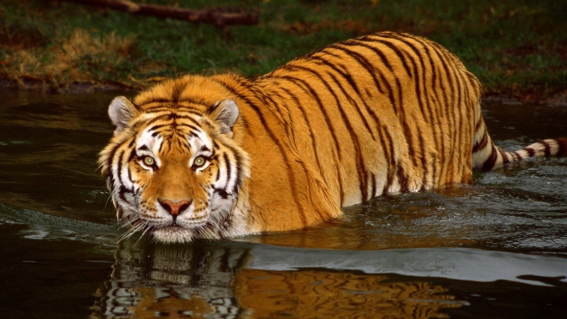 oranje-licht-voor-iconisch-natuurgebied-in-bangladesh-nl-3116.jpg