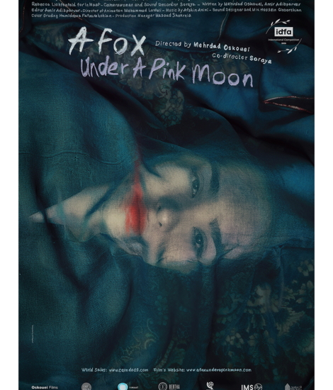 A fox under a pink moon_vertical_Instagram.jpg