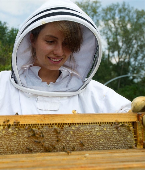 Vrouwen voor bijen - de positie van vrouwen versterken en de biodiversiteit ondersteunen.jpg