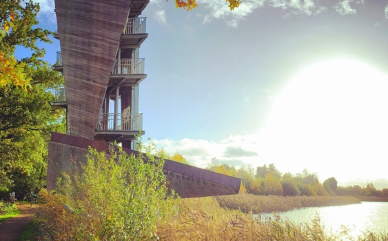 Uitkijktoren-Zonhoven-1536x1524.jpg