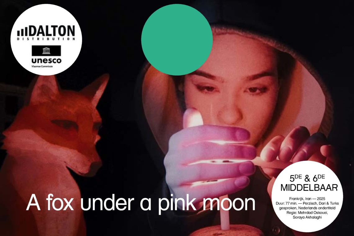 Lesmap A fox under a pink moon (1).pdf